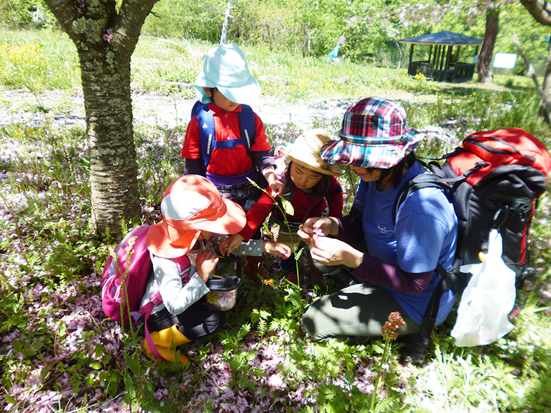 虹を見上げる子どもたち
