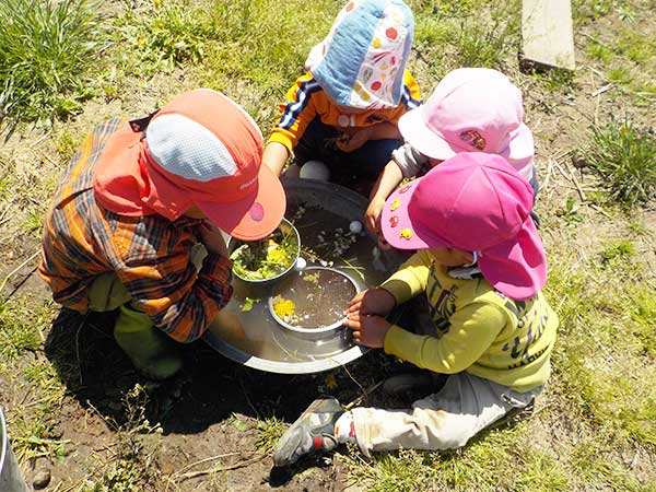 みにぼっこの写真